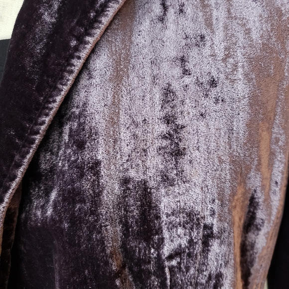 Vintage velvet blazer - Picture 5 of 11